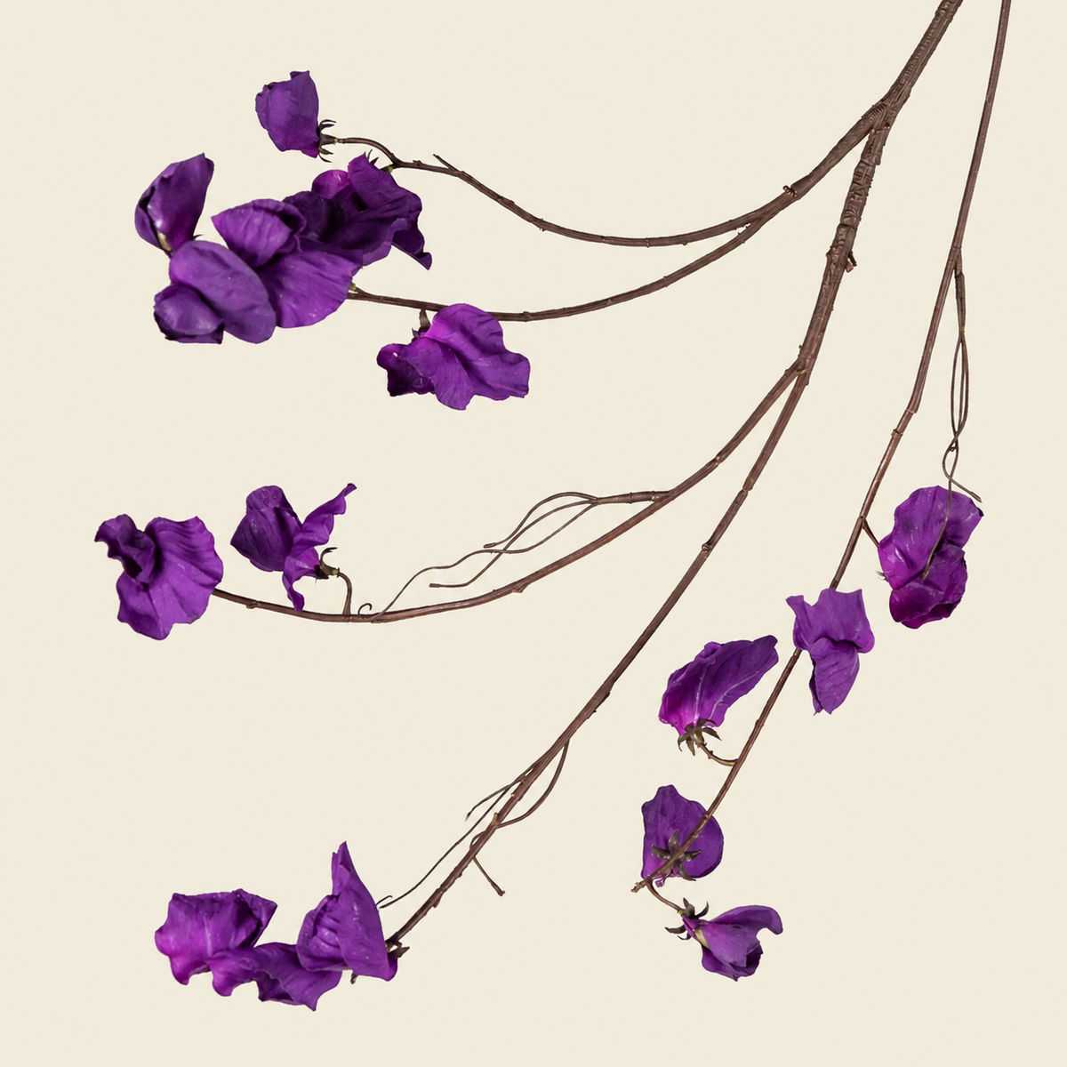 Artificial Purple Sweet Pea Spray, 117cm