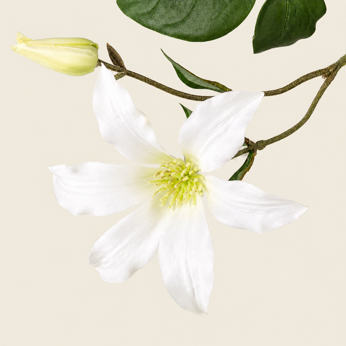 Artificial Cream Clematis Spray, 131cm